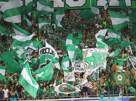 נהירה ירוקה לנתניה. אוהדי חיפה