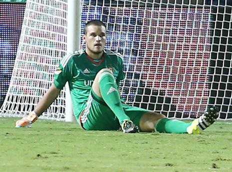 ראיקוביץ'. אולי בשנה הבאה (אלן שיבר)