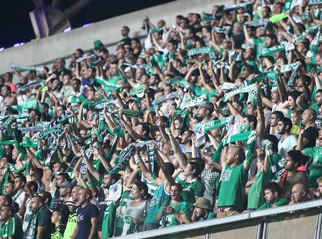 צפויים לתמוך בבניון. אוהדי מכבי חיפה (צילום: אלן שיבר)