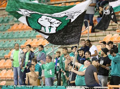 (צילום: נמרוד גליקמן)