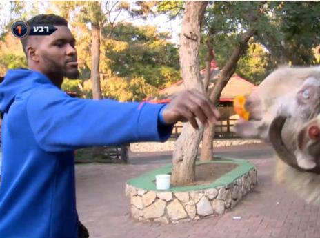 דיאטה בעל-כורחו הצילה לו את הקריירה