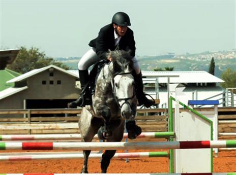 האליפות מתחילה