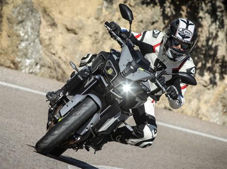 (צילום: יצרן)