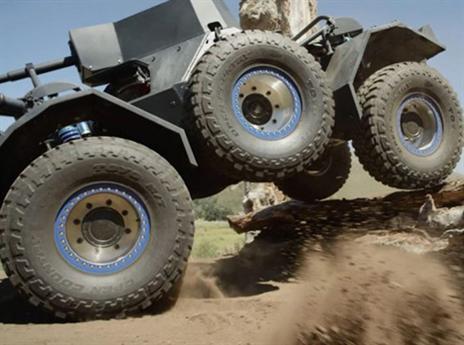 חיית שטח. הסמור