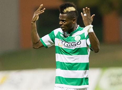 צ'יבוטה. כפ"ס לא הפסיקה להחמיץ (עודד קרני)