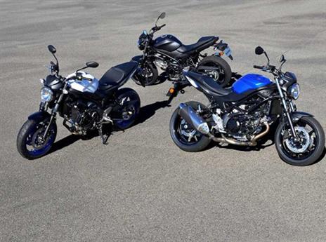 (צילום: יצרן)