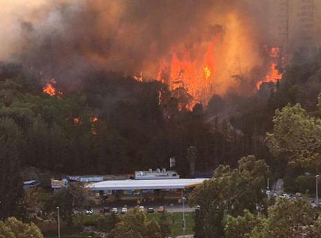 לא לוקחים סיכונים