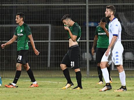 תסכול ירוק (סוכנות ג'יני)