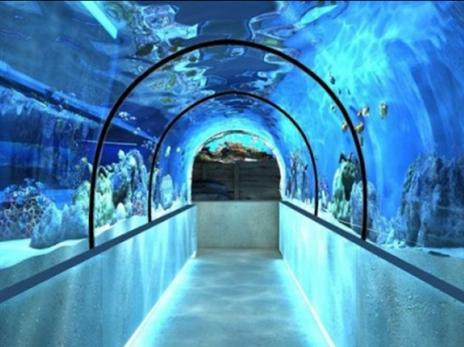 35 מטרים של מנהרה תת ימית