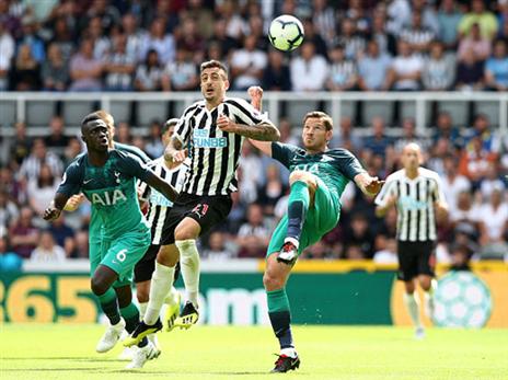 טוטנהאם ניצלה. (getty)