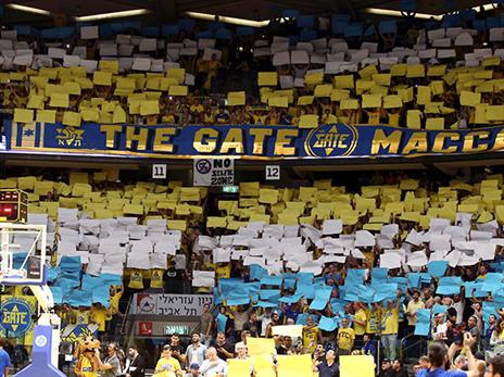 ההיכל הצהובי יעזור למכבי ת"א לצאת לדרך חדשה? (אלן שיבר)