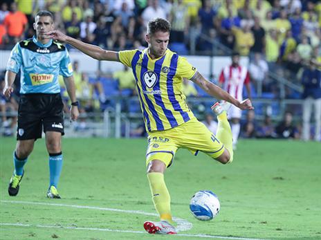 סבוריט. סימן שאלה (אלן שיבר)