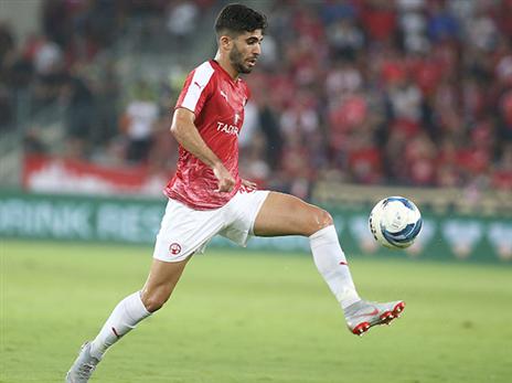 ביטון. בדרום מרוצים מחזרתו (אלן שיבר)