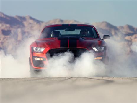 (צילום: יצרן)