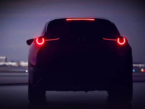 (צילום: יצרן)