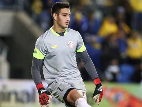 טבצ'ניק יקבל את הקרדיט? (אלן שיבר)