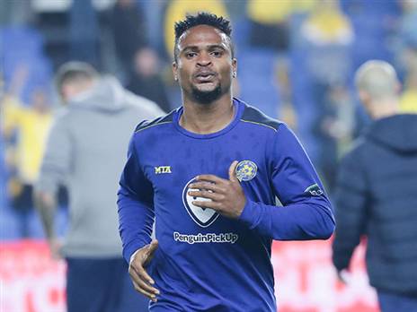 אופאדו. שוב התנצל (אלן שיבר)