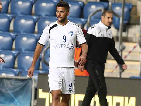 גוזלן בימיו בקרית שמונה (צילום: אלן שיבר)