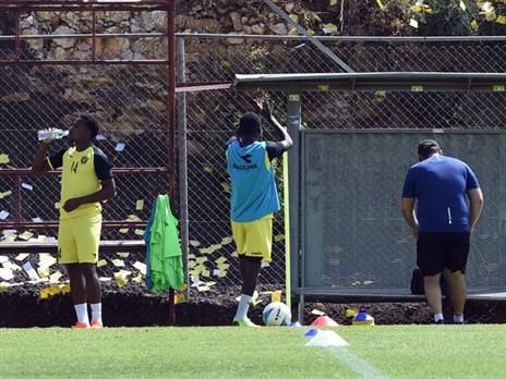 (אייל ספקטור)