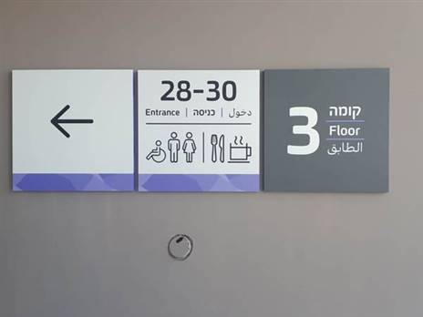 (צילום: שירי אלג'ם)