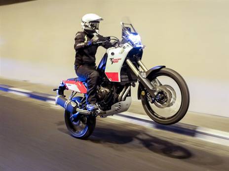 (צילומים: רונן טופלברג)