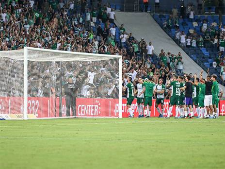 ירוק בחיפה (אלן שיבר)