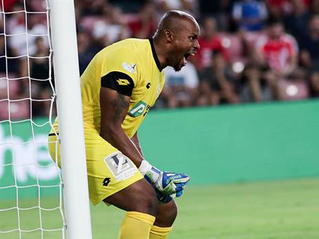 אג'ידה. מנע תבוסה גדולה יותר (דני מרון)