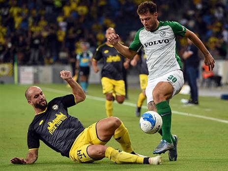 וילדסחוט. צריך לקבל יותר הזדמנויות (ברני ארדוב)