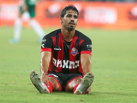 זמיר. בספק לרעננה (אלן שיבר)