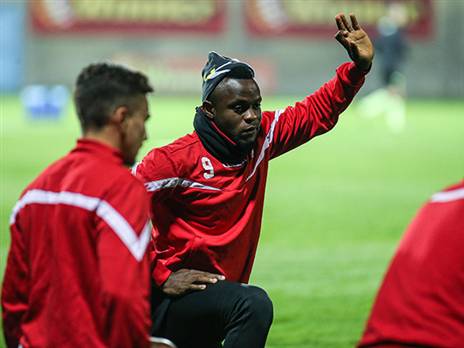 (מאור אלקסלסי)