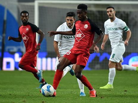 (ברני ארדוב)