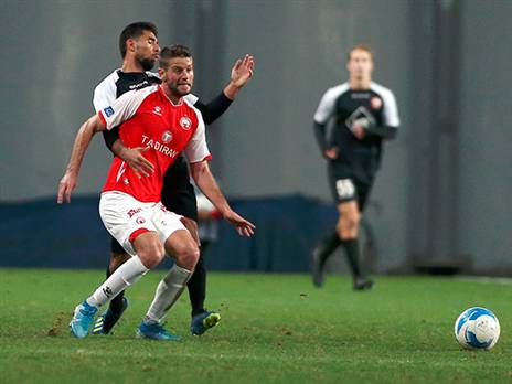 לא יכלנו לעמוד בדרכו. שמיר (צילום: אלן שיבר)