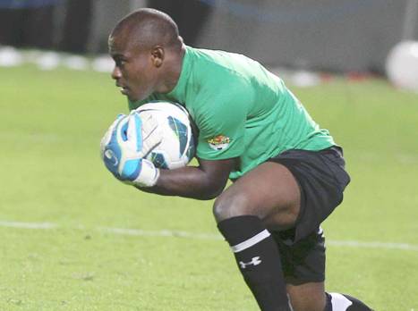 אניימה. אפילו איתו מזדהים יותר (אלן שיבר)