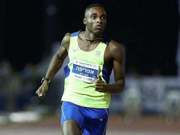 שובר שיאים. אפריפה (צילום: אלן שיבר)