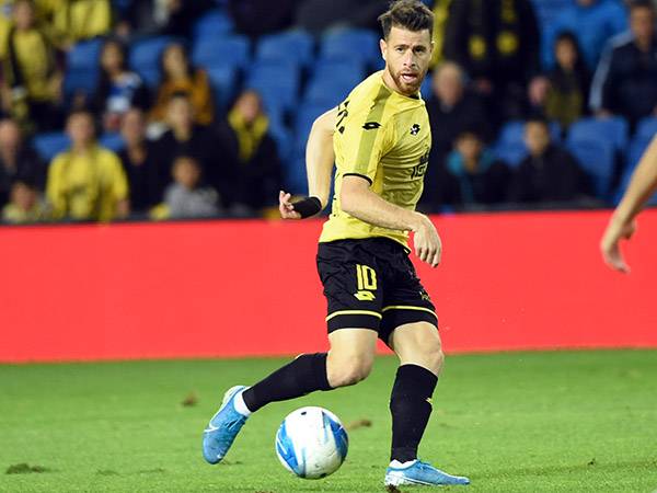 (ברני ארדוב)