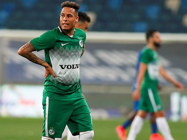 שרי. קרס (אלן שיבר)