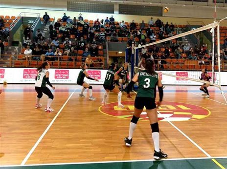 (צילום: איגוד הכדורעף)