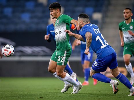 יצטרף לנוף הגליל? יפרח (צילום: מאור אלקסלסי)