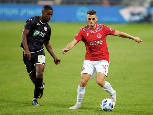 גרופר עשוי לעזוב (אלן שיבר)