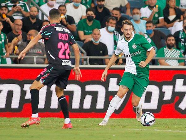 אצילי צפוי לחזור (אלן שיבר)