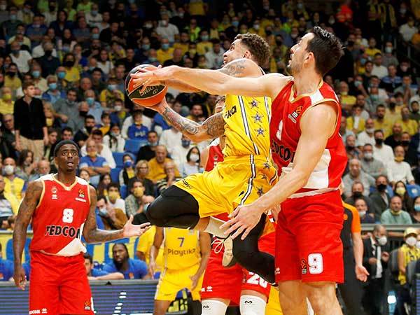 פתח בסערה (אלן שיבר)