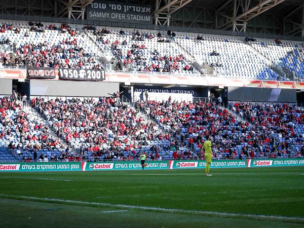 בימים אלה, שמולביץ' לא מסוגל לעסוד (מאור אלקסלסי)
