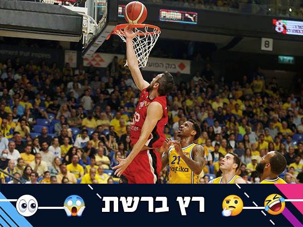 (אלן שיבר)