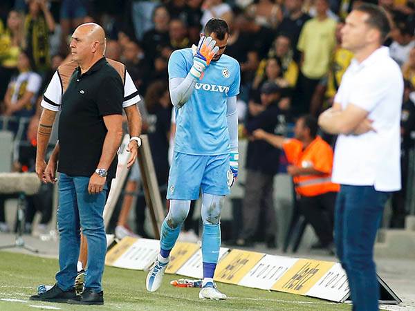 רק בריאות. משפתי (אלן שיבר)