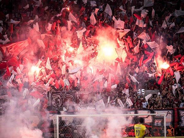 חמור (אלן שיבר)