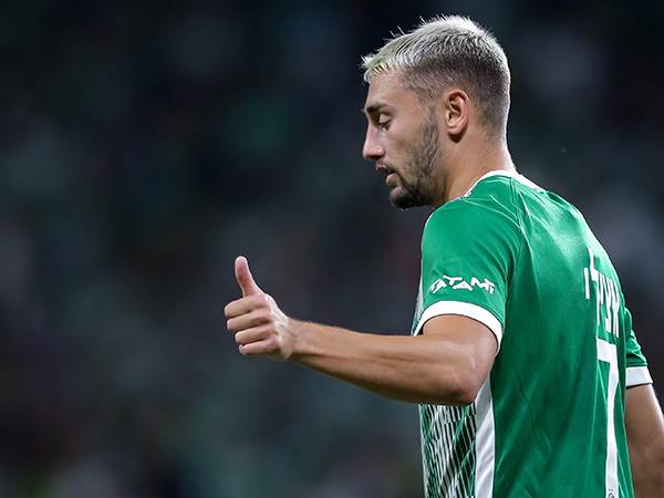 "שיירדו כבר מהעניין של אצילי" (אלן שיבר)