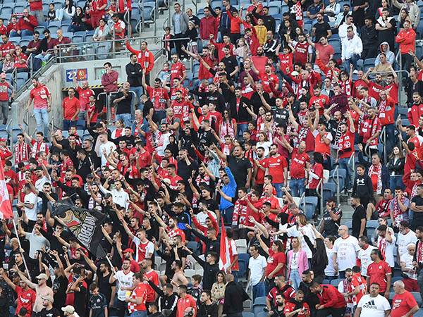 למצולמים אין קשר לכתבה (ברני ארדוב)