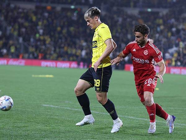 ניקולסקו. שער בדרגת קושי גבוהה (דני מרון)