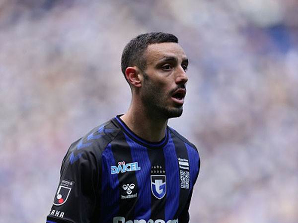 אכזבה נוספת העונה. לביא (getty)