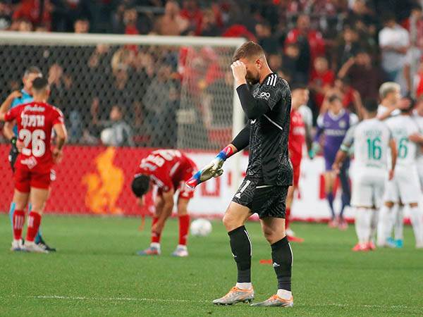 הפסד לפני הפלייאוף (אלן שיבר)